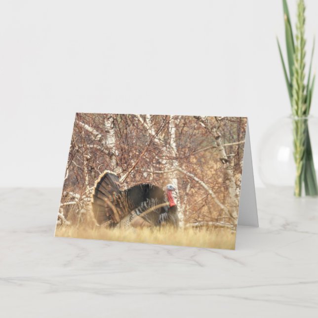 Carte de note sauvage de la Turquie Tom (Devant)