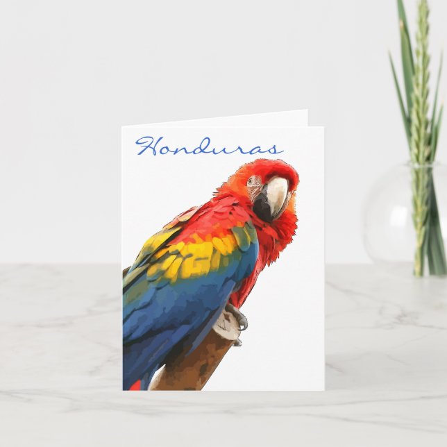 Carte de note Scarlet Macaw Honduras (Devant)