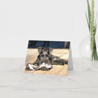 Carte de note Schnauzer miniature #6 - vide