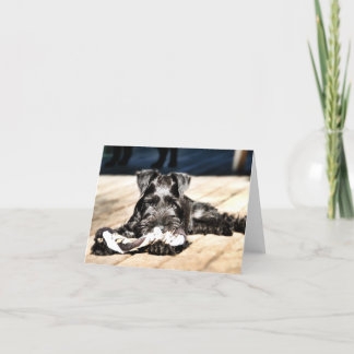 Carte de note Schnauzer Miniture #2 - vide