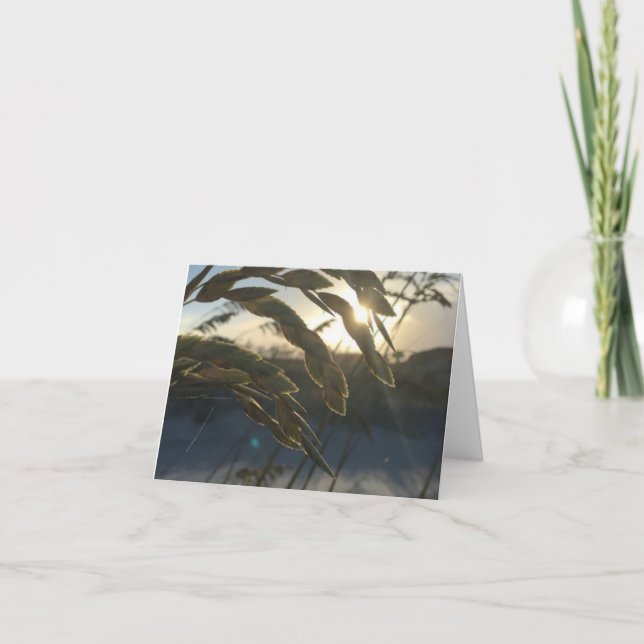 Carte de note Sea Oats (Devant)