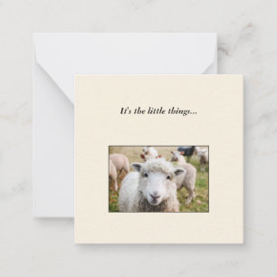 Carte de note Sheep Mini Thank You