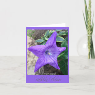 Carte de note Star of the Garden "Platycodon"