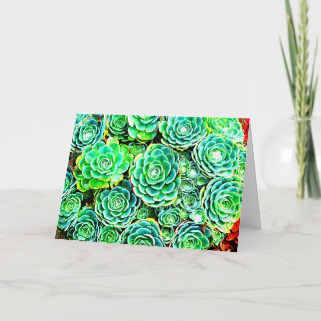 Carte de note succulente de chute (Devant)