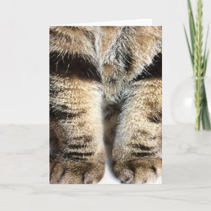 Carte de note Tabby Legs - Vide dans