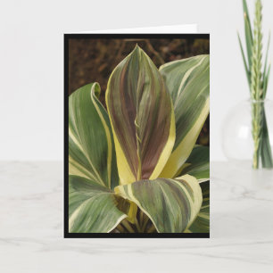 Carte de note Ti plante avec filtre artistique