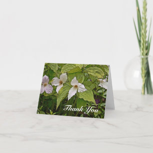 CARTE DE NOTE/TRILLIUM/PHOTOG./DIG.MANIP/EFF PAINT