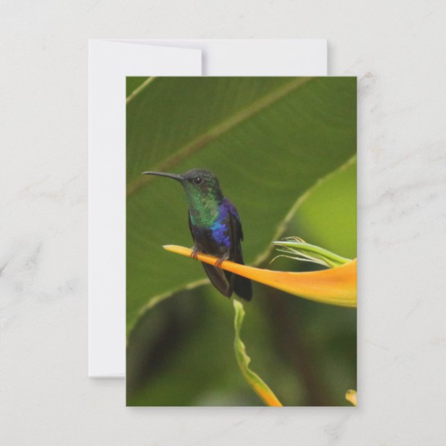 Carte de note vide (Devant)