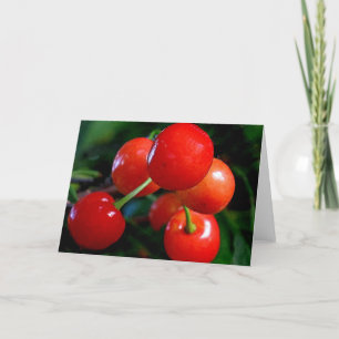 Carte de note vierge : Cerises