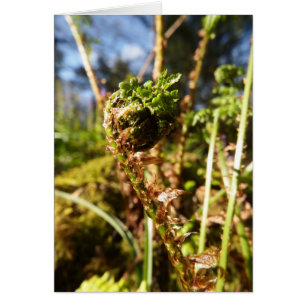 Carte de note vierge de Fern Frond