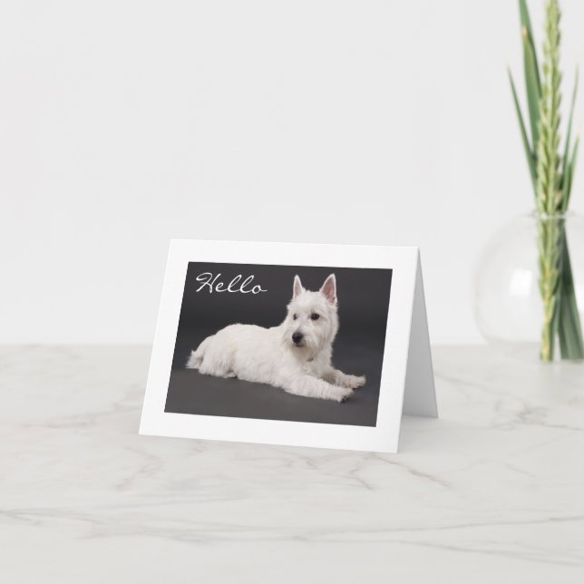 Carte de note vierge Hello West Highland Terrier (Devant)