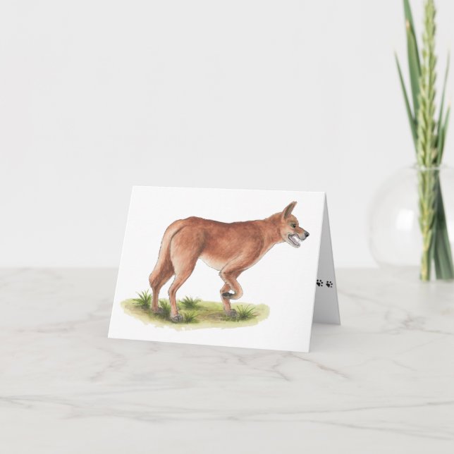 Carte de note vierge Renard Rouge (Devant)