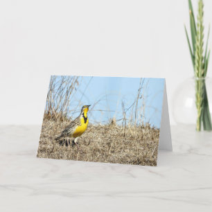 Carte de note Western Meadow Lark