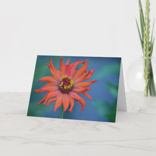 Carte de note Zinnia (Devant)