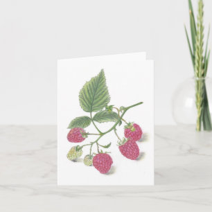 Carte de notes de framboise