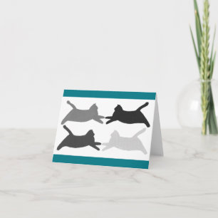 Carte de notes pour chats acrobatiques Acrobat