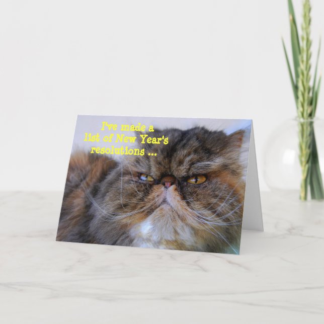 Carte de Nouvel An pour chat persan calico résolut (Devant)