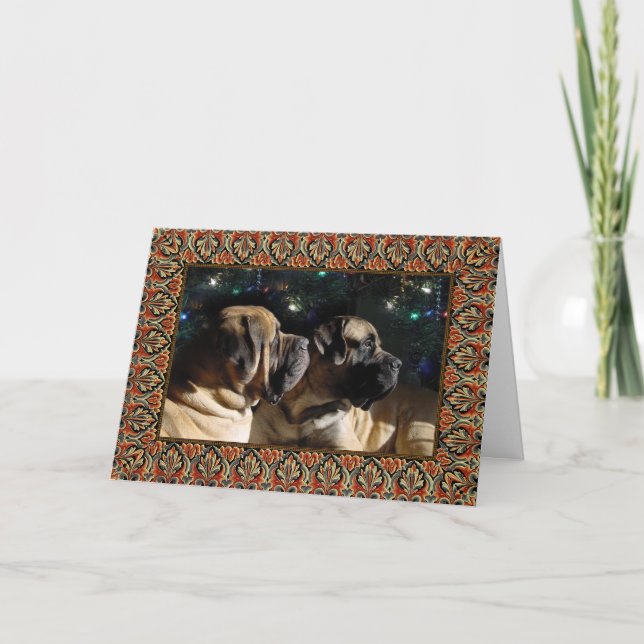 Carte de paire Mastiff encadrée (Devant)