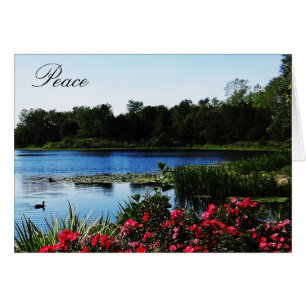 Carte de paix de 14h27 de John
