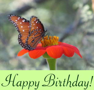 Cartes Mexicain D Anniversaire Zazzle Fr