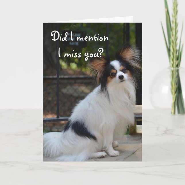 Carte de Papillon tu me manque (Devant)