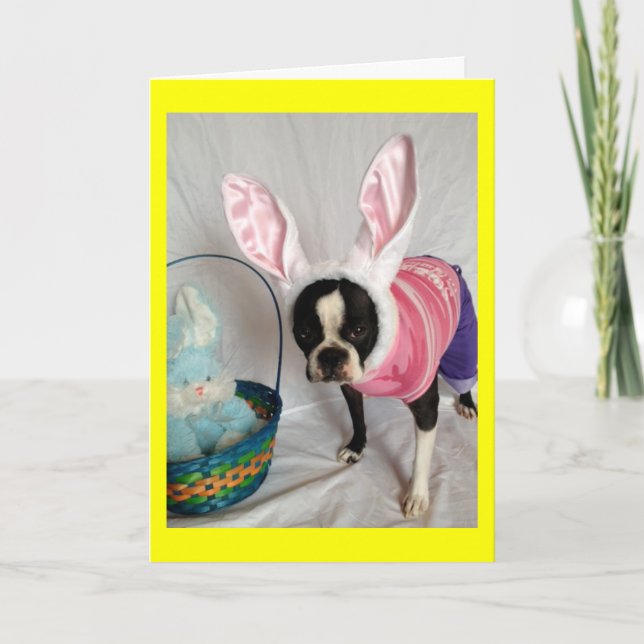 Carte de Pâques avec Boston Terrier Bunny (Devant)