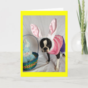 Carte de Pâques avec Boston Terrier Bunny