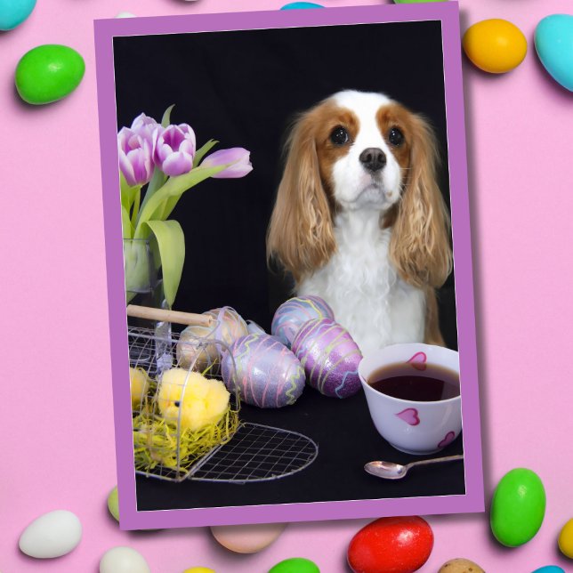 Carte de Pâques Cavalier King Charles Tulipes Œufs (Créateur téléchargé)
