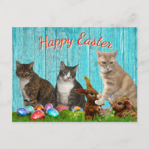 Carte de Pâques - Chats et Lapins