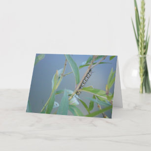Carte de Pâques "Chenille monarque #2"