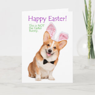 Carte de Pâques de Funny Corgi