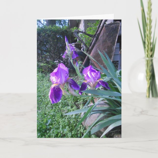 Carte de Pâques de "Purple Iris" (Devant)