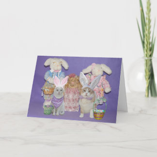 Carte de Pâques drôle de lapins de chat