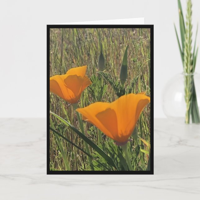 Carte de Pâques Golden Poppies 3 (Devant)