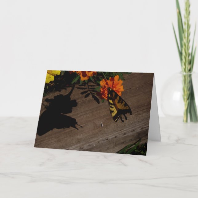 Carte de Pâques "Ombre du matin" (Devant)