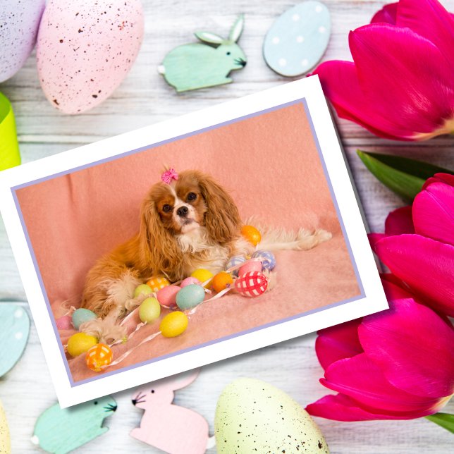 Carte de Pâques pour chiot Cavalier King Charles S (Créateur téléchargé)