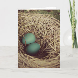 Carte de Pâques Robins Oeufs