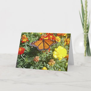 Carte de Pâques "S'adapter"