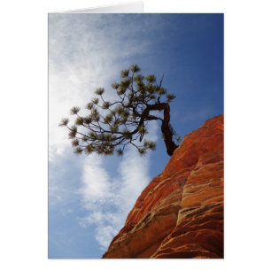 Carte de parc national minimaliste Bonsai Tree Zio
