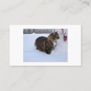 Carte De Parrainage chat des forêts norvégiennes dans la neige
