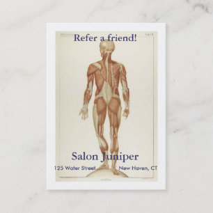 Carte De Parrainage Postérieur d'anatomie
