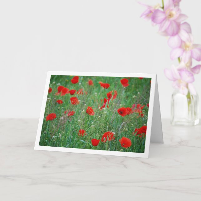 Carte de paysage Red Poppy Field (Orchidée)