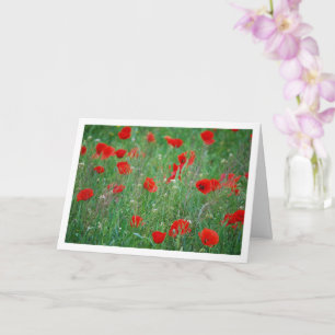 Carte de paysage Red Poppy Field
