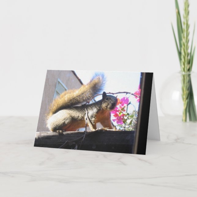 Carte de pendaison de crémaillère du monde (Devant)