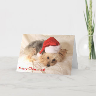 Carte de Père Noël Yorkie