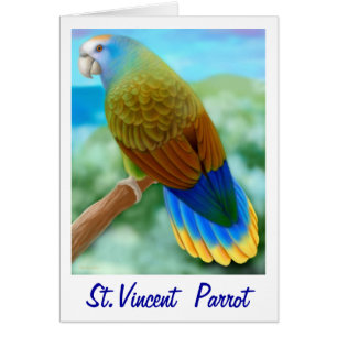 Carte de perroquet St Vincent en voie de dispariti