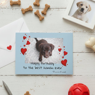 Carte de Personnaliser d'anniversaire pour animaux