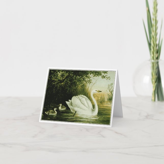 Carte de Personnaliser de Swan Whooper (Devant)