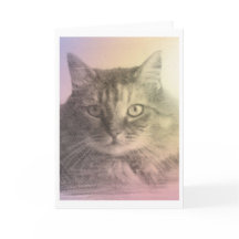 carte de perte pour animal de chat