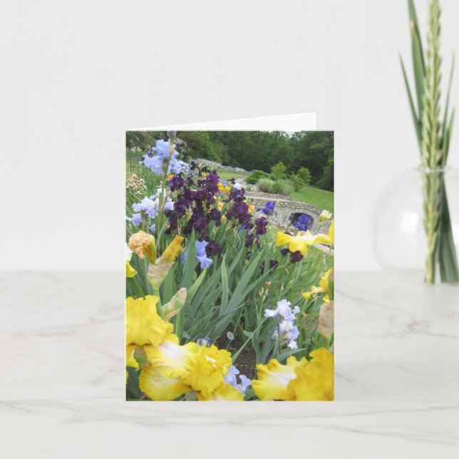 Carte de petit billet vierge Iris Garden (Devant)